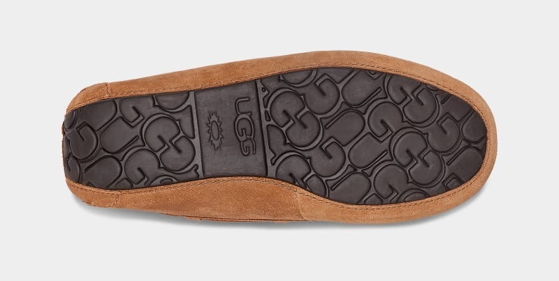 Brown Ugg Olsen Men's Slippers | South Africa-7195463