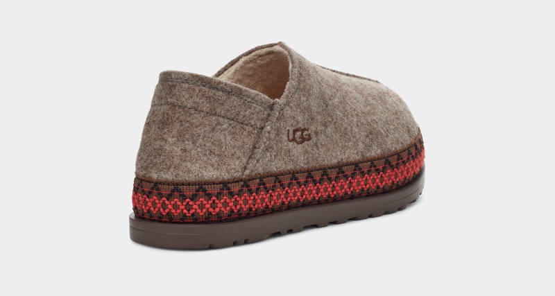 Brown Ugg Refelt Tasman Women's Sneakers | South Africa-0514683