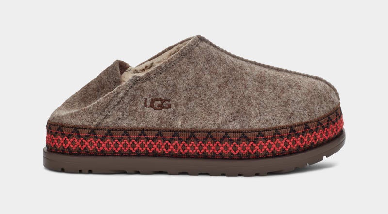 Brown Ugg Refelt Tasman Women's Sneakers | South Africa-0514683