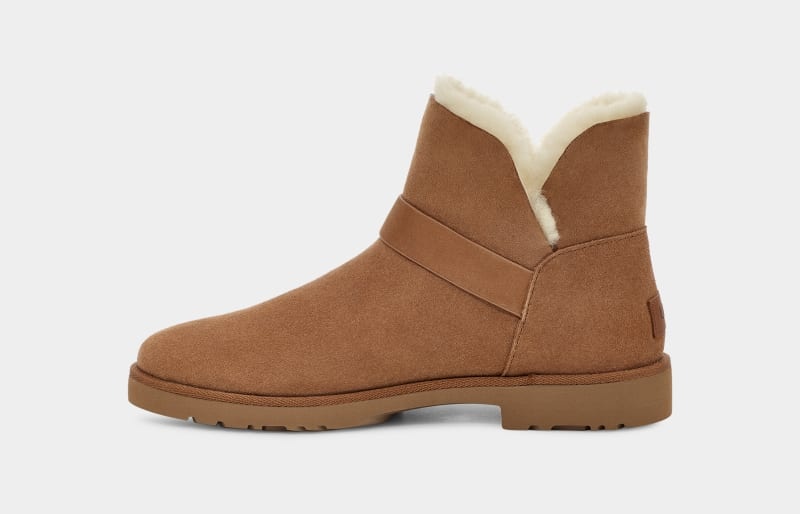 Brown Ugg Romely Short Buckle Women's Winter Boots | South Africa-9065423