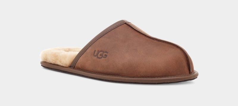 Brown Ugg Scuff Leather Men's Slippers | South Africa-0368514