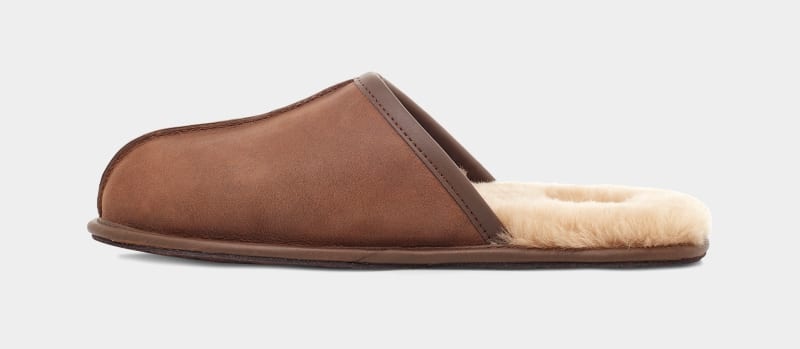 Brown Ugg Scuff Leather Men's Slippers | South Africa-0368514