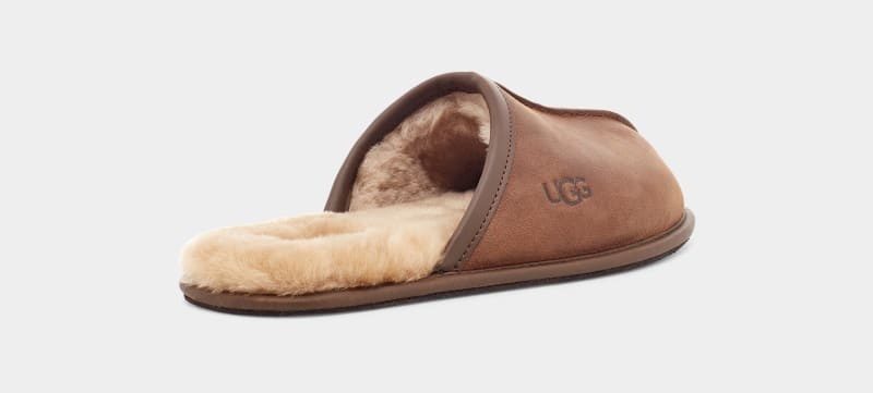 Brown Ugg Scuff Leather Men's Slippers | South Africa-0368514