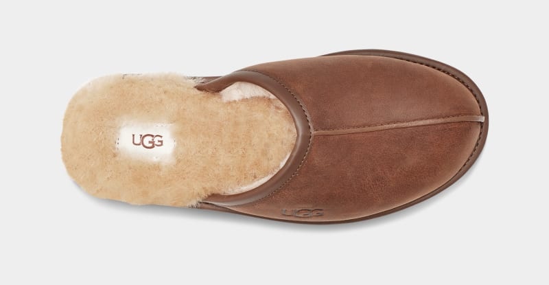 Brown Ugg Scuff Leather Men's Slippers | South Africa-0368514