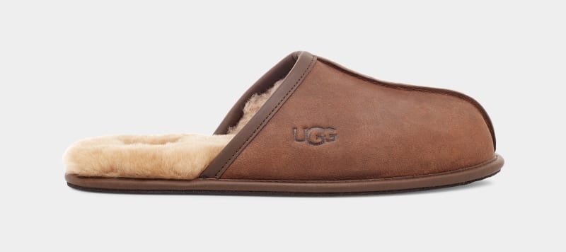 Brown Ugg Scuff Leather Men\'s Slippers | South Africa-0368514