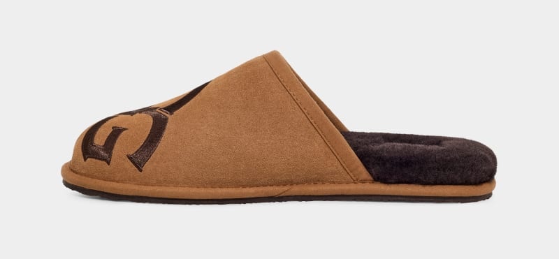 Brown Ugg Scuff Logo Ii Men's Slippers | South Africa-5713820