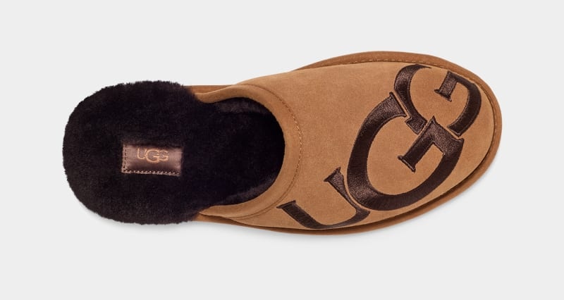 Brown Ugg Scuff Logo Ii Men's Slippers | South Africa-5713820