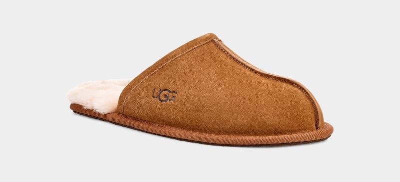 Brown Ugg Scuff Men's Slippers | South Africa-6430759