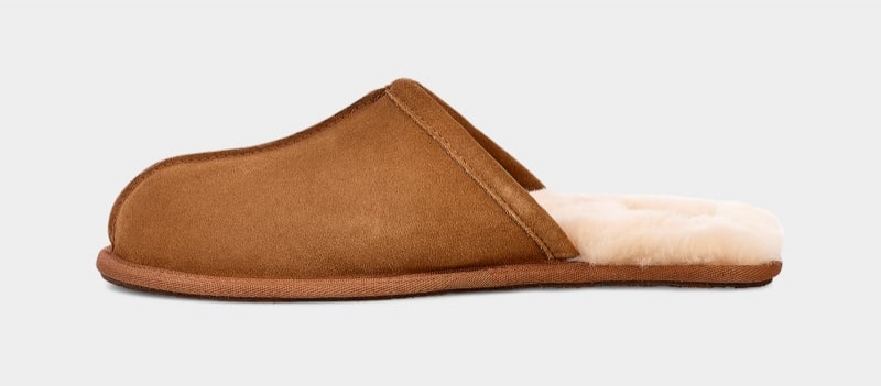 Brown Ugg Scuff Men's Slippers | South Africa-6430759