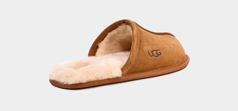 Brown Ugg Scuff Men's Slippers | South Africa-6430759