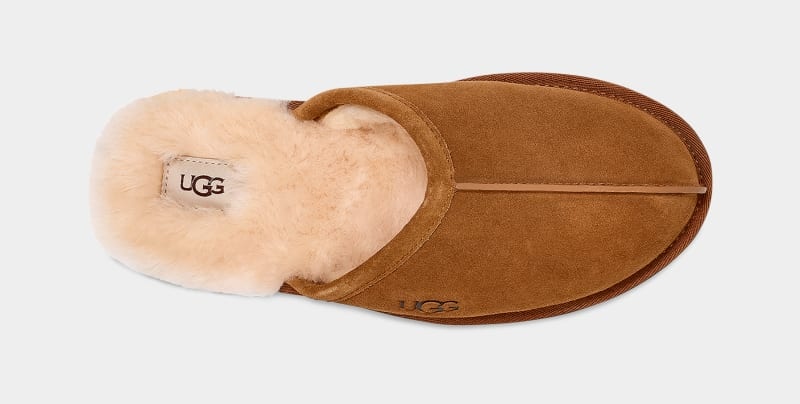 Brown Ugg Scuff Men's Slippers | South Africa-6430759