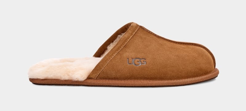 Brown Ugg Scuff Men\'s Slippers | South Africa-6430759