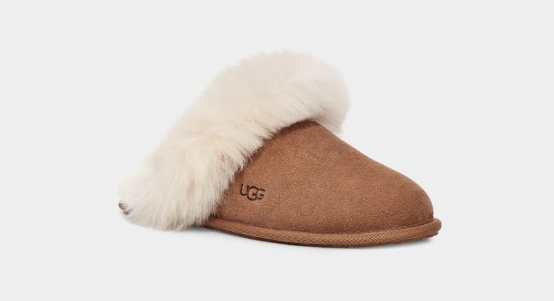 Brown Ugg Scuff Sis Women's Slippers | South Africa-5714683