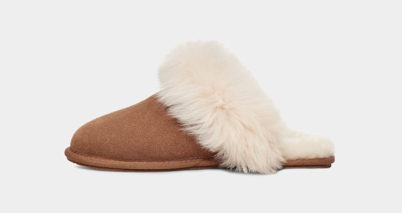 Brown Ugg Scuff Sis Women's Slippers | South Africa-5714683