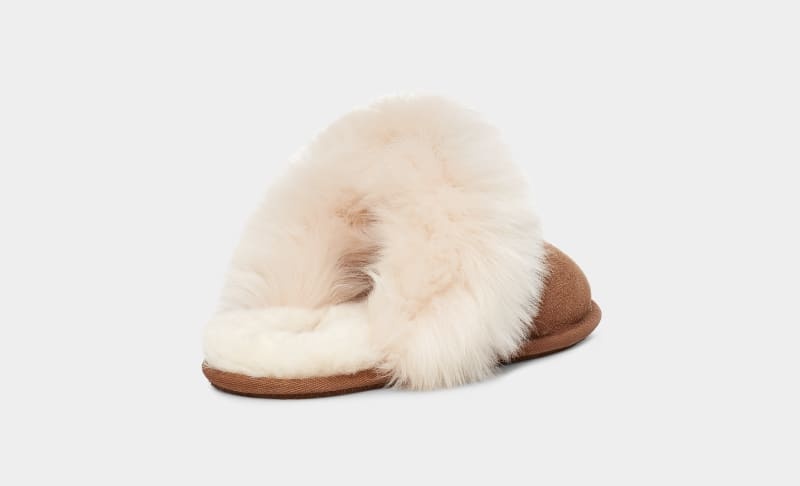 Brown Ugg Scuff Sis Women's Slippers | South Africa-5714683