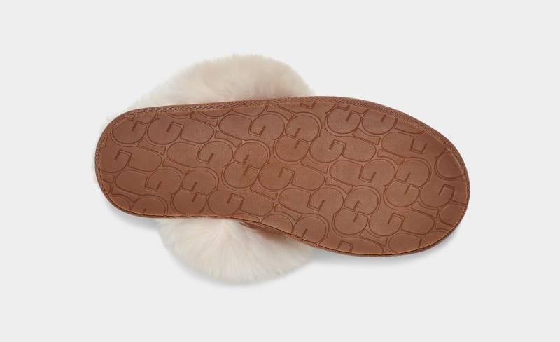 Brown Ugg Scuff Sis Women's Slippers | South Africa-5714683