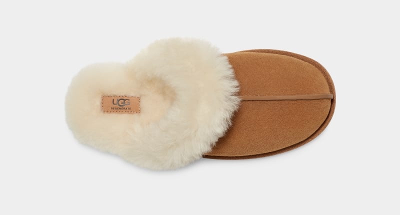 Brown Ugg Scuffette Ii Regenerate Women's Slippers | South Africa-0352198