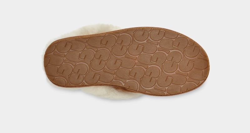 Brown Ugg Scuffette Ii Regenerate Women's Slippers | South Africa-0352198