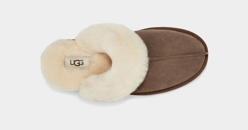 Brown Ugg Scuffette Ii Women's Slippers | South Africa-9274108