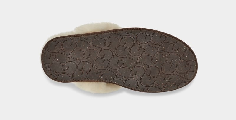 Brown Ugg Scuffette Ii Women's Slippers | South Africa-9274108