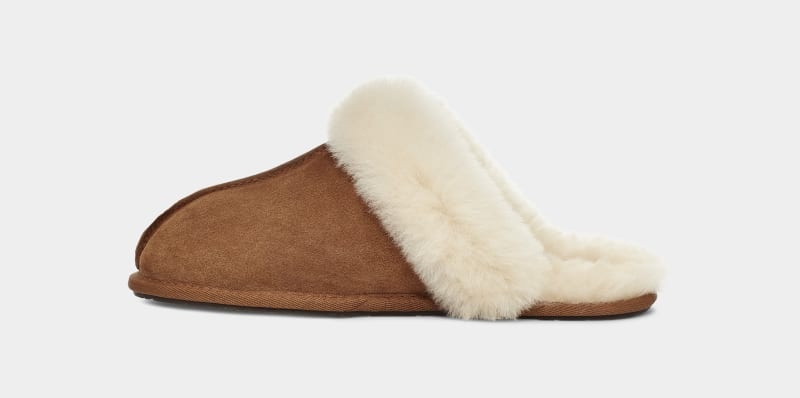 Brown Ugg Scuffette Ii Women's Slippers | South Africa-1237049