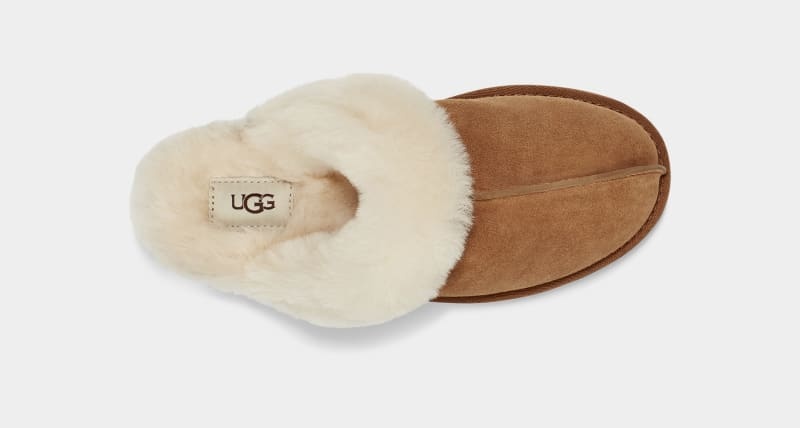 Brown Ugg Scuffette Ii Women's Slippers | South Africa-1237049