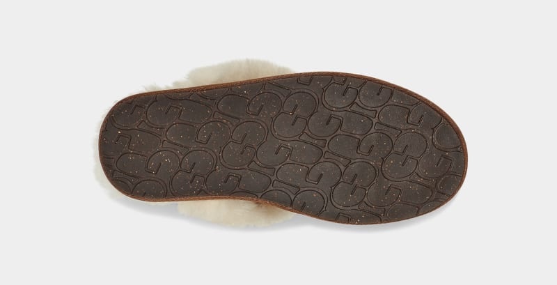 Brown Ugg Scuffette Ii Women's Slippers | South Africa-1237049