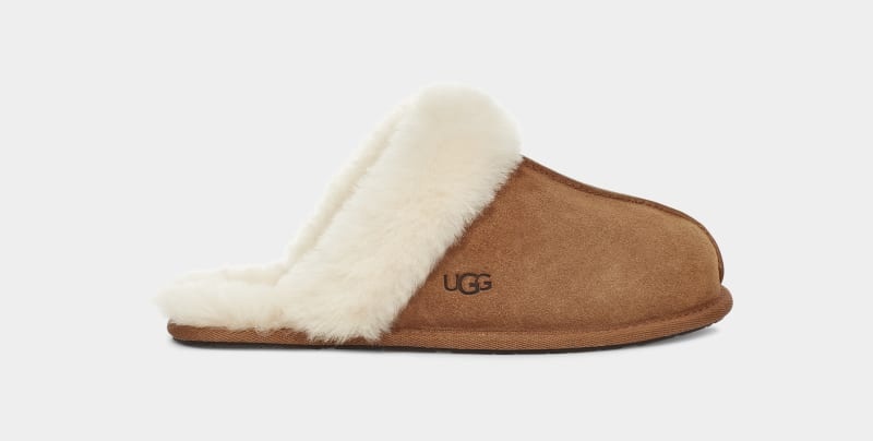 Brown Ugg Scuffette Ii Women\'s Slippers | South Africa-1237049