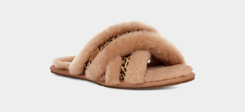 Brown Ugg Scuffita Speckles Women's Slippers | South Africa-0187643