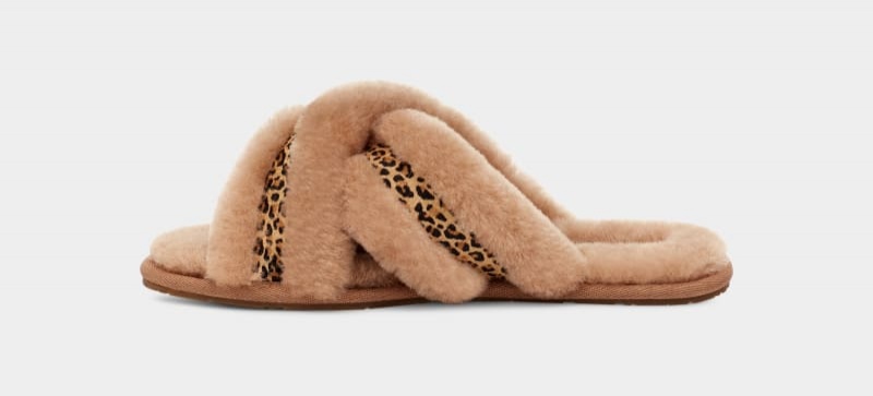 Brown Ugg Scuffita Speckles Women's Slippers | South Africa-0187643