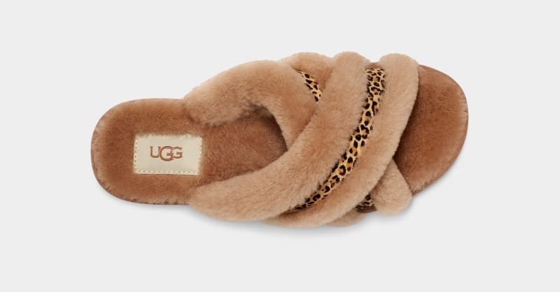 Brown Ugg Scuffita Speckles Women's Slippers | South Africa-0187643