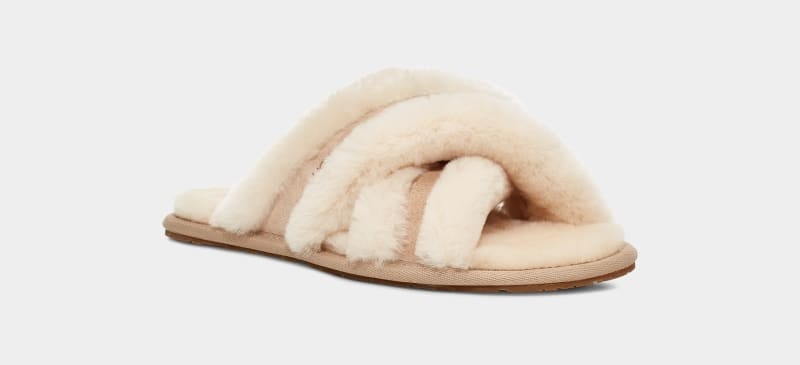 Brown Ugg Scuffita Women's Slippers | South Africa-1539680