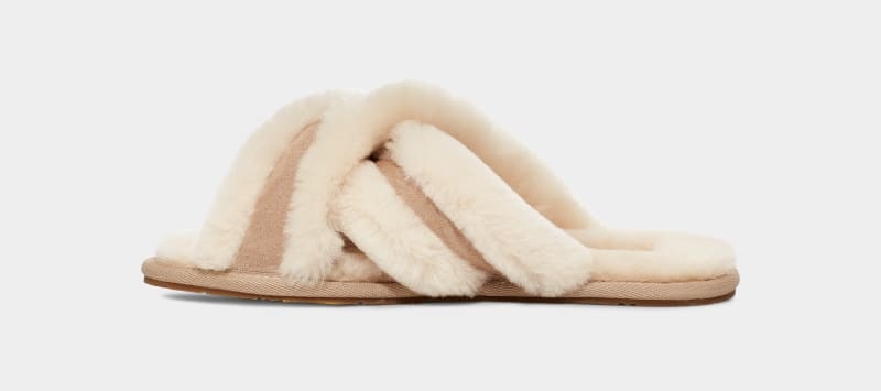 Brown Ugg Scuffita Women's Slippers | South Africa-1539680