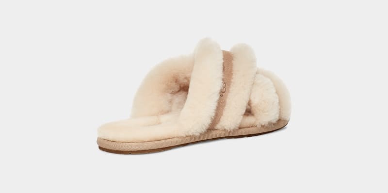 Brown Ugg Scuffita Women's Slippers | South Africa-1539680