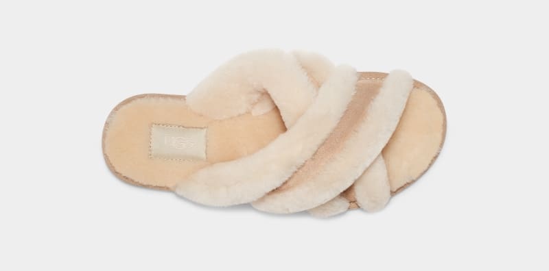 Brown Ugg Scuffita Women's Slippers | South Africa-1539680