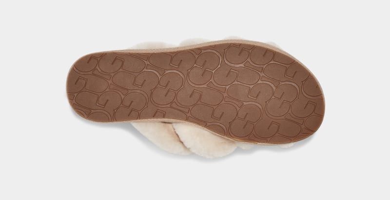 Brown Ugg Scuffita Women's Slippers | South Africa-1539680