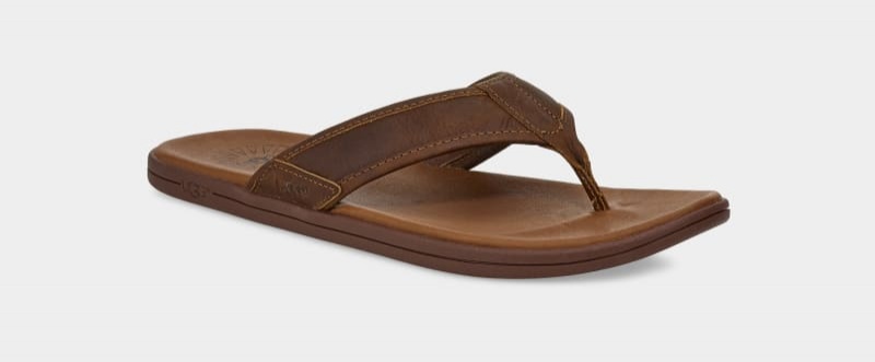 Brown Ugg Seaside Leather Men's Flip Flops | South Africa-5194630