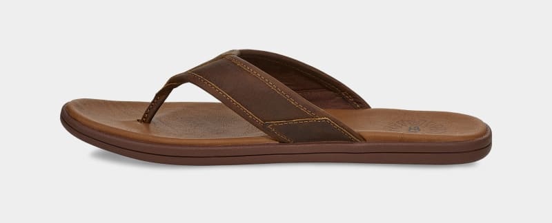 Brown Ugg Seaside Leather Men's Flip Flops | South Africa-5194630