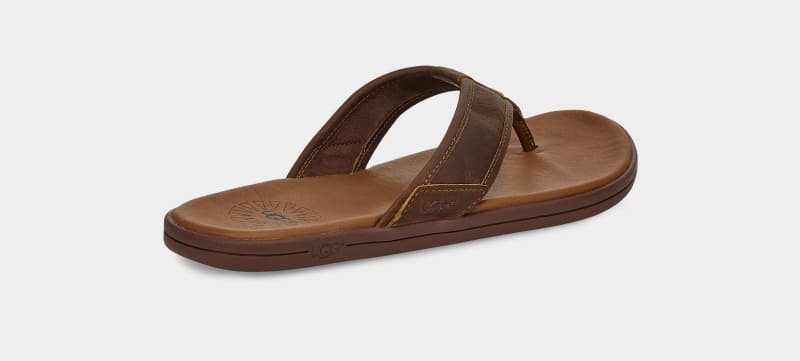 Brown Ugg Seaside Leather Men's Flip Flops | South Africa-5194630