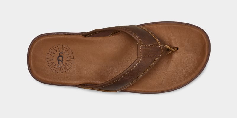 Brown Ugg Seaside Leather Men's Flip Flops | South Africa-5194630