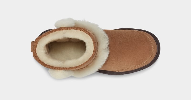 Brown Ugg Sunburst Mini Women's Winter Boots | South Africa-4391076