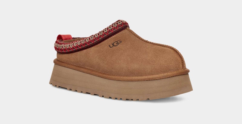 Brown Ugg Tazz Women's Clogs | South Africa-9123068