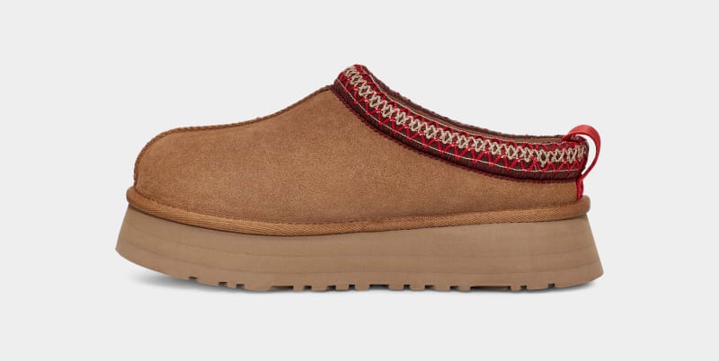 Brown Ugg Tazz Women's Clogs | South Africa-9123068