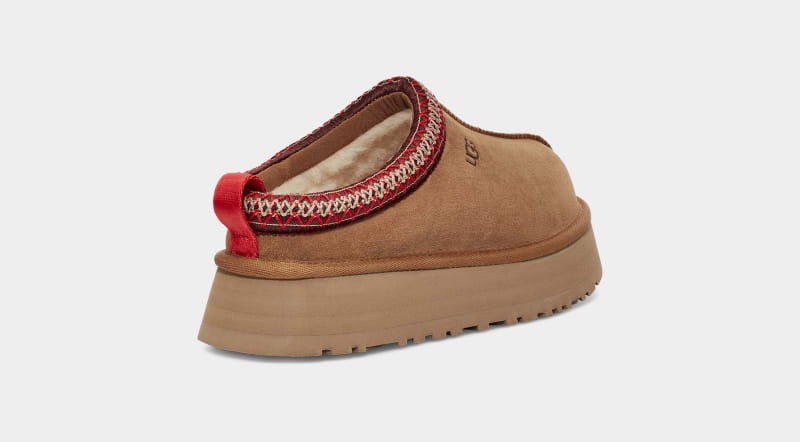 Brown Ugg Tazz Women's Clogs | South Africa-9123068