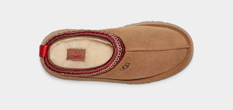 Brown Ugg Tazz Women's Clogs | South Africa-9123068