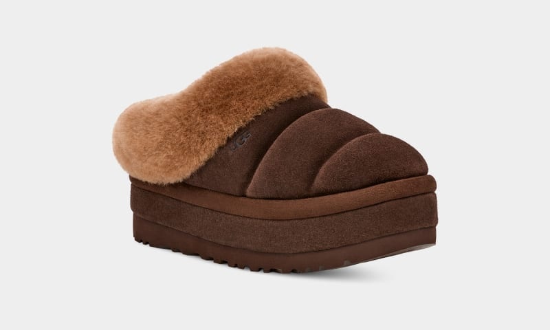 Brown Ugg Tazzlita Women's Clogs | South Africa-1908437