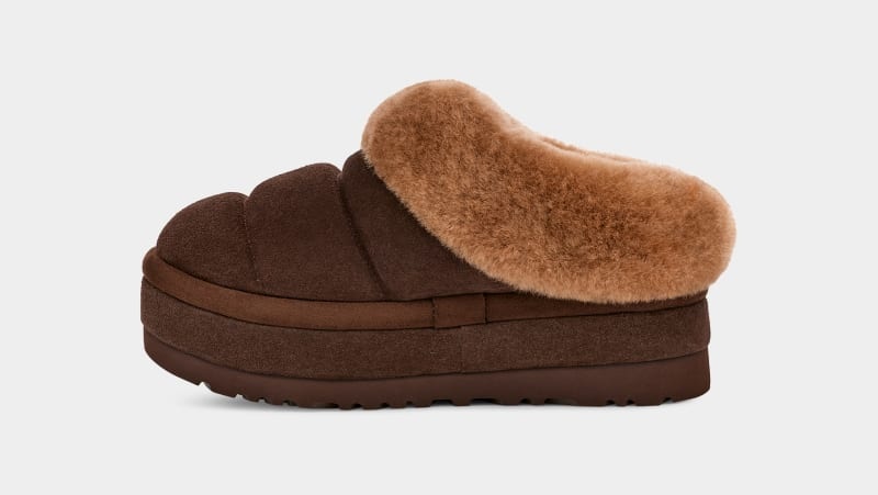 Brown Ugg Tazzlita Women's Clogs | South Africa-1908437