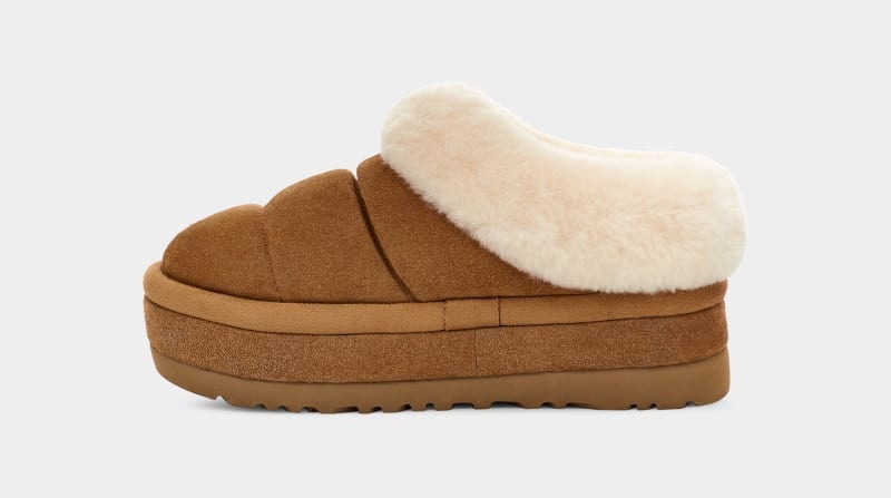 Brown Ugg Tazzlita Women's Clogs | South Africa-3654912