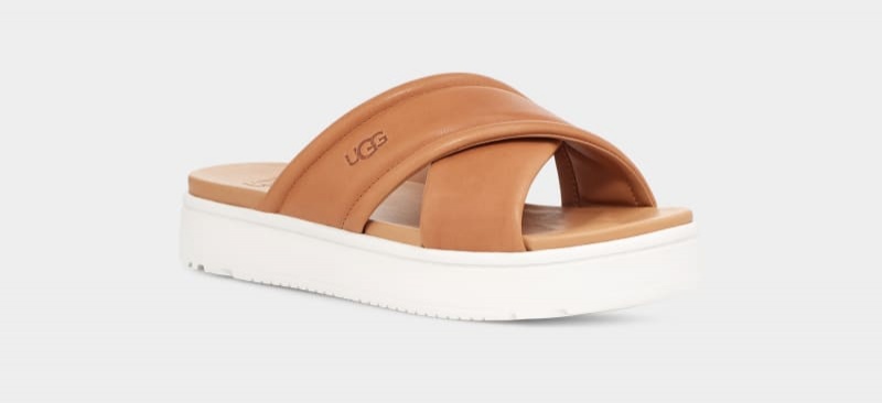 Brown Ugg Zayne Crossband Women's Slides | South Africa-5693218