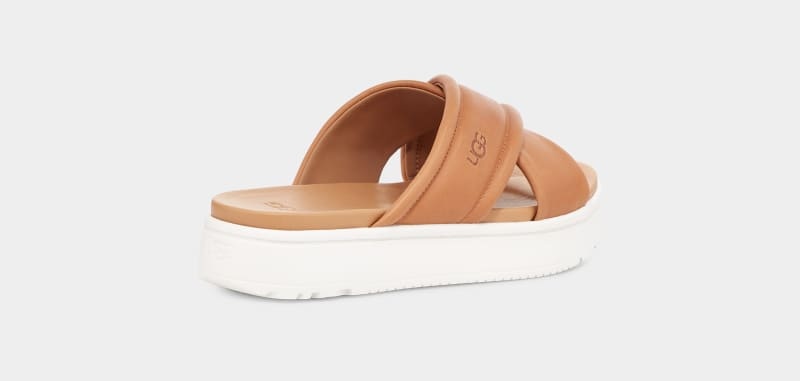 Brown Ugg Zayne Crossband Women's Slides | South Africa-5693218